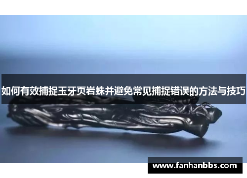 如何有效捕捉玉牙页岩蛛并避免常见捕捉错误的方法与技巧