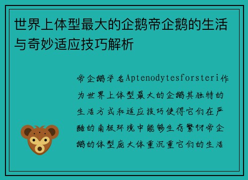 世界上体型最大的企鹅帝企鹅的生活与奇妙适应技巧解析